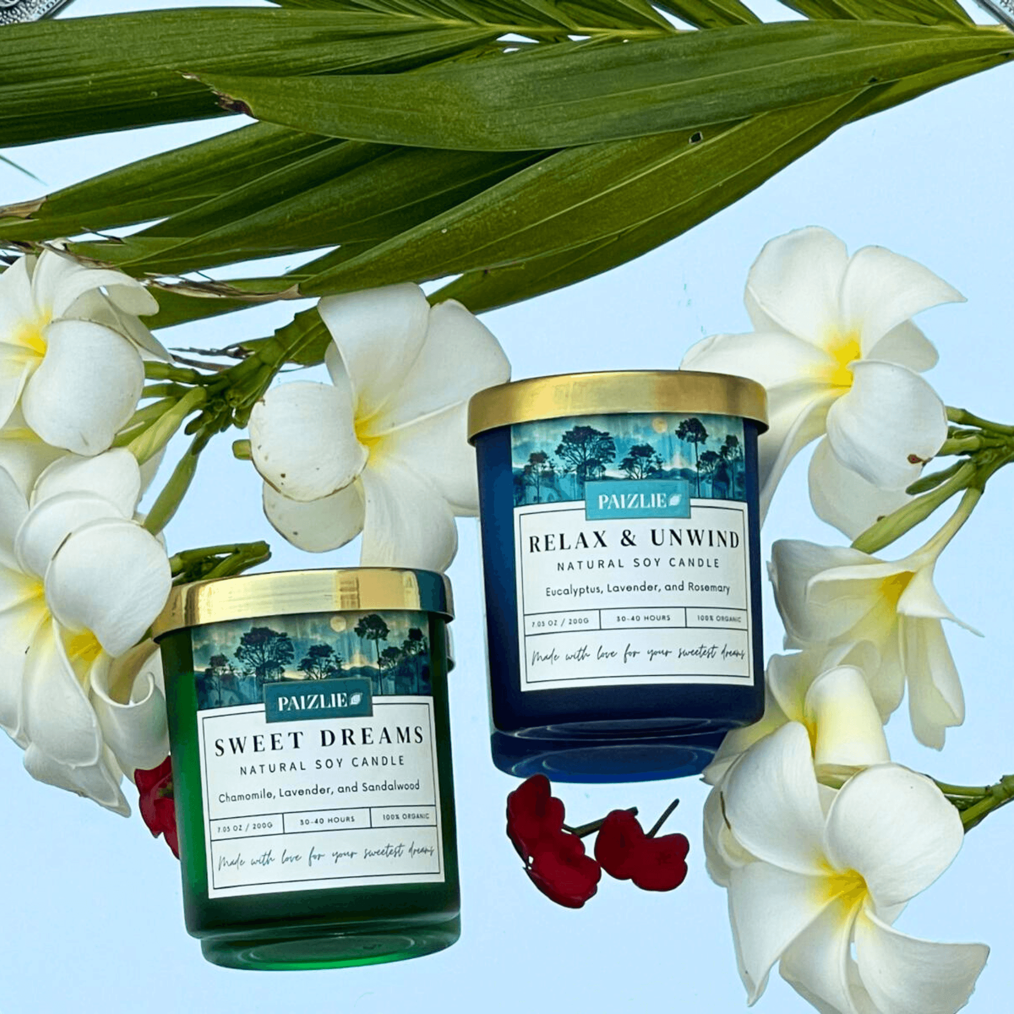 Paizlie Candle Gift Set: Sweet Dreams & Relax & Unwind Soy Candles - paizlie
