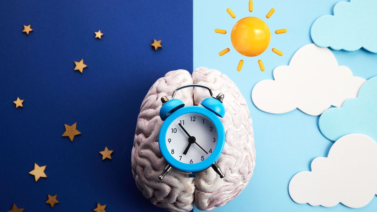 Your Body Has a Circadian Rhythm—A Sleep-Clock That’s Controlling More Than You Think! - paizlie