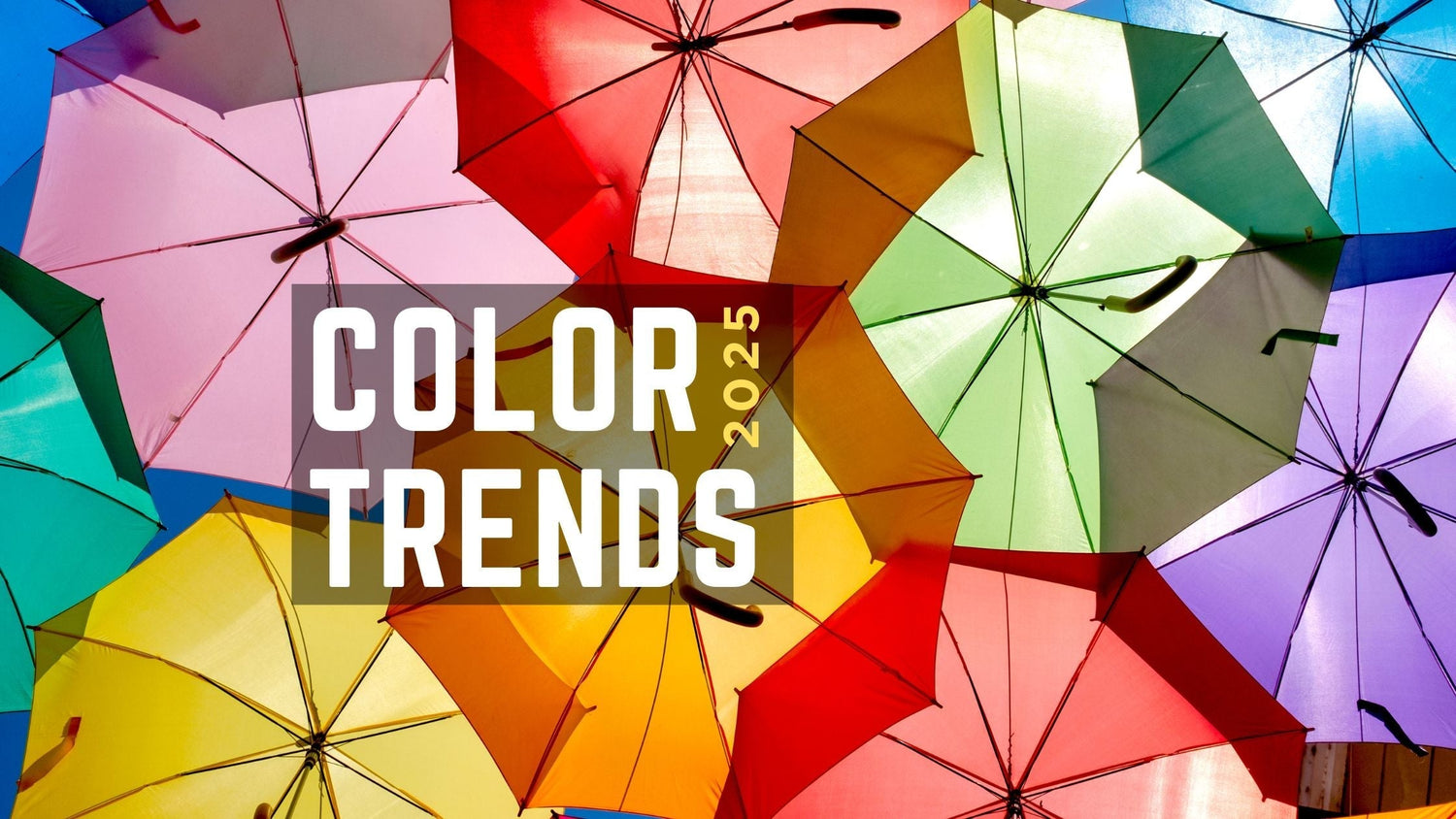 Peeking into this Year’s Palette: WGSN's 2025 Color Forecast