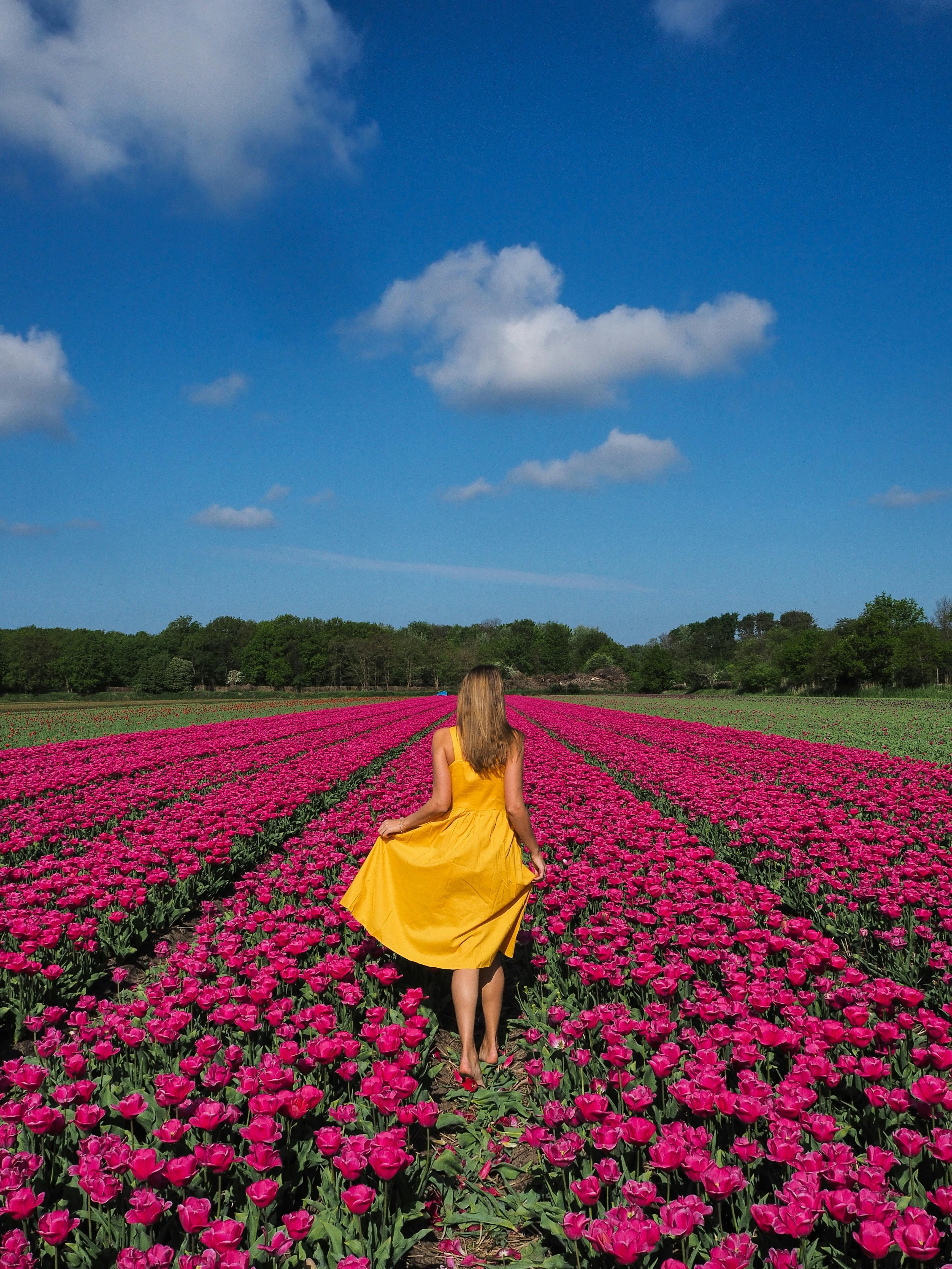 The Role of Fabric in Balancing Your Health and your Dosha