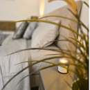 100% Bamboo Silver Grey Solid Bedding Set | Set of 4 - paizlie