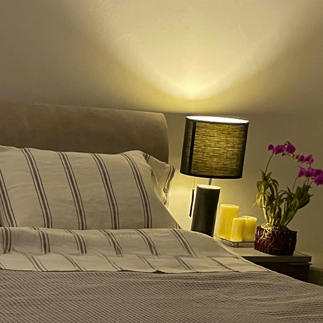 Blue Stripes | 100% Natural European flax Linen Bedsheets | Set of 4 - paizlie